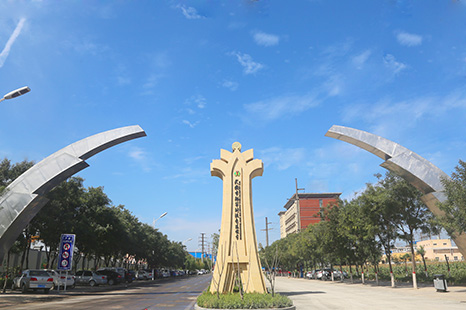 汇赢国际